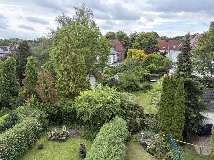 Der Ausblick