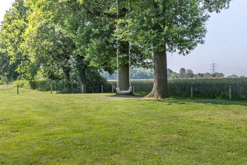 Schaukel in der Natur