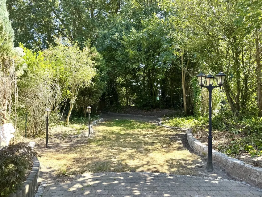 Die idyllische Lage mit Blick in den Wald
