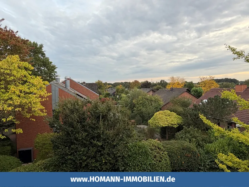 Der Ausblick