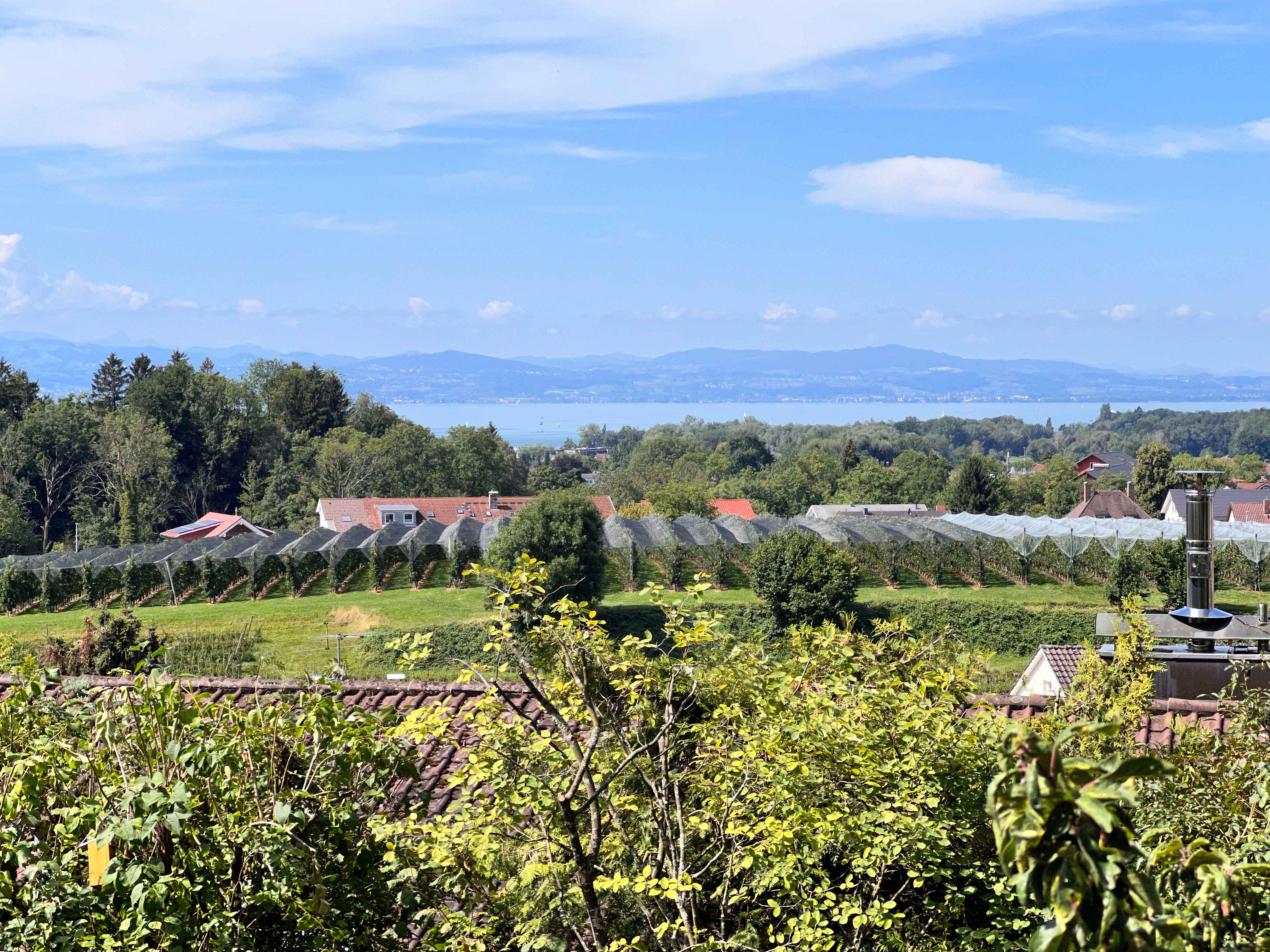 See und Berge im Blick – Secret Sale – reserviert-