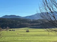 Blick aus dem Fenster