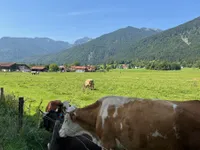 Grundstück