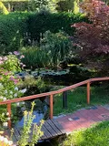 Teich