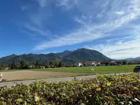 Blick