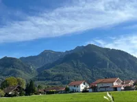 Blick
