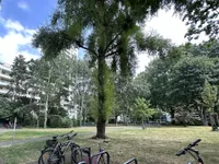 Aussen