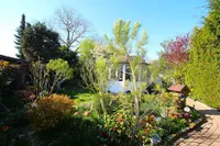 Garten3