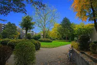 Blick Haustür in Anlage