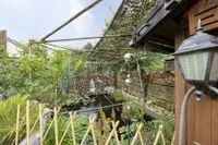 Garten 2