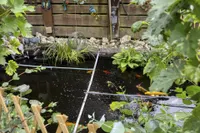 Garten 3