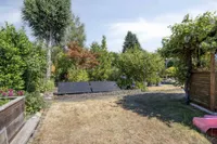 Garten 5
