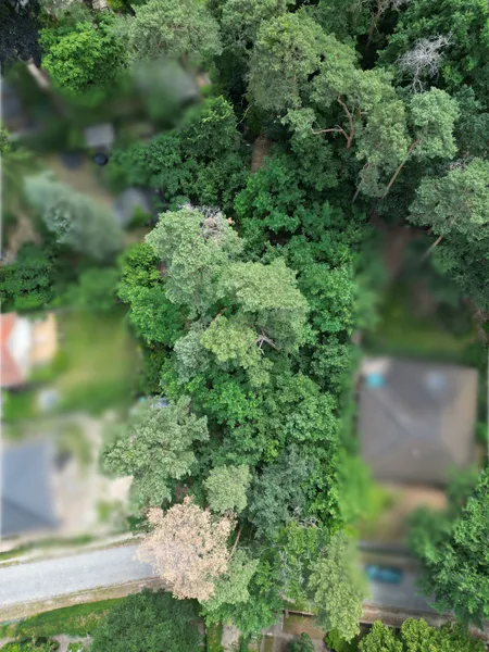 Attraktive Grundstück in begehrter Lage von Rangsdorf