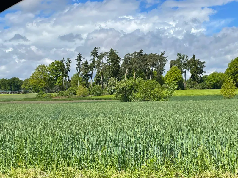 Attraktives Waldgrundst&uuml;ck im Birket bei Neustadt a.d. Donau ca. 40% Waldbestand!