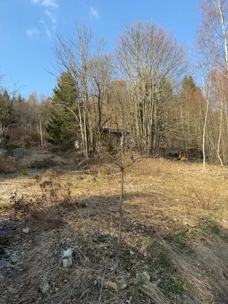 Ihr R&uuml;ckzugsort im Gr&uuml;nen &ndash; gro&szlig;z&uuml;giges Freizeitgrundst&uuml;ck mit Abrisshaus in Greising bei Deggendorf