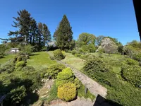 Blick in den Garten aus dem SZ