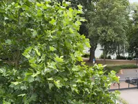Blick von der Dachterrasse 1