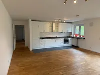 Wohn- und Esszimmer mit Küchenzeile