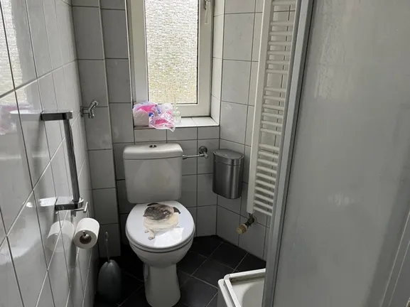 Teilansicht Badezimmer