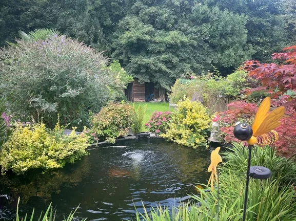 Teilansicht Garten