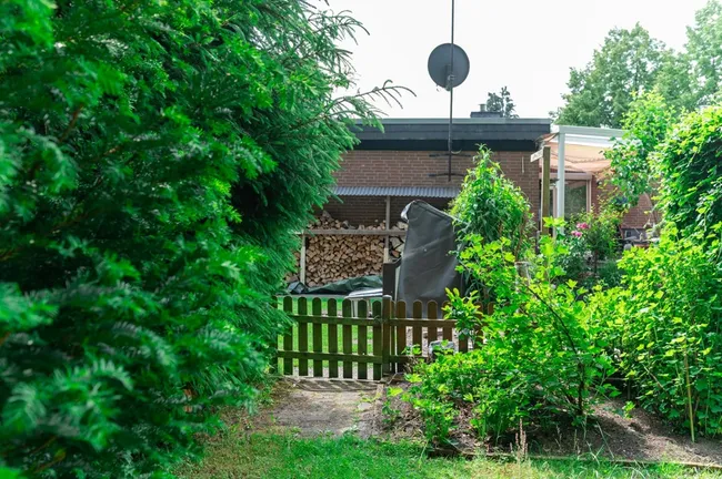 Rückansicht des Hauses