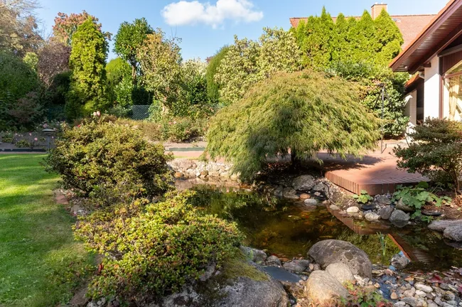 Teich / Terrasse