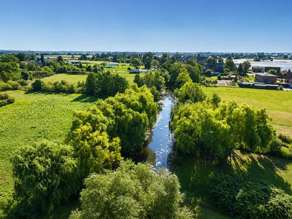 Elbe Seitenarm