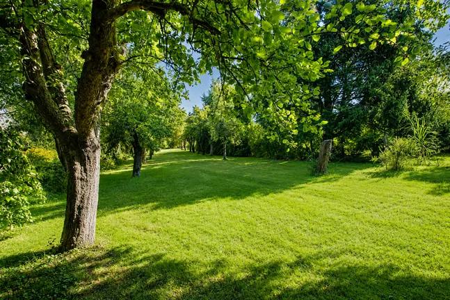 Garten