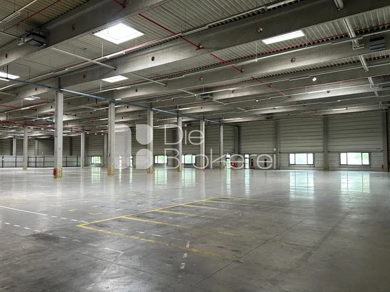 Ansicht Hallenfläche 