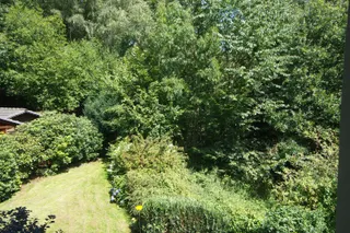 Ausblick