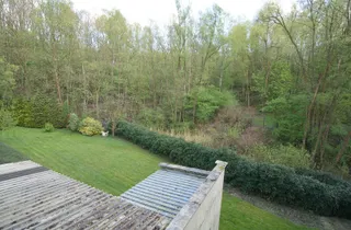 Ausblick