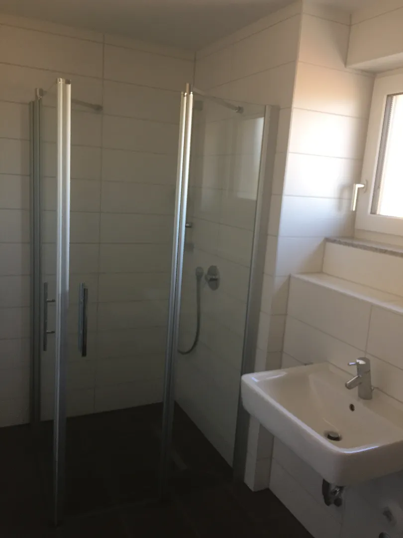 Beispielfoto Bad mit Dusche und Fenster.jpg