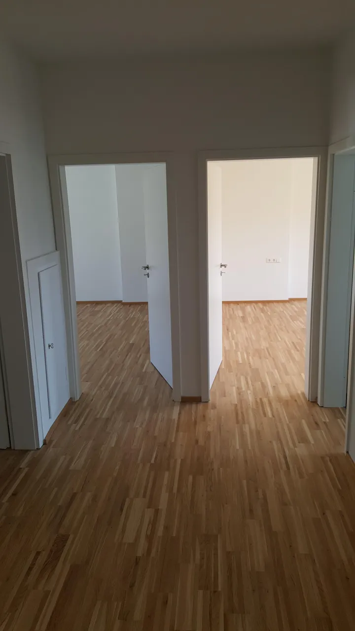 20180530_120156.jpg