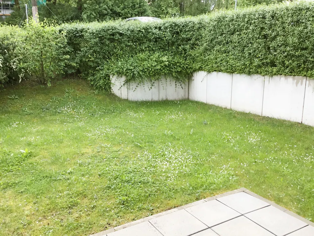 Bild2 Terrasse.jpg