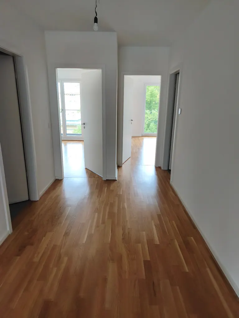 65738.jpg