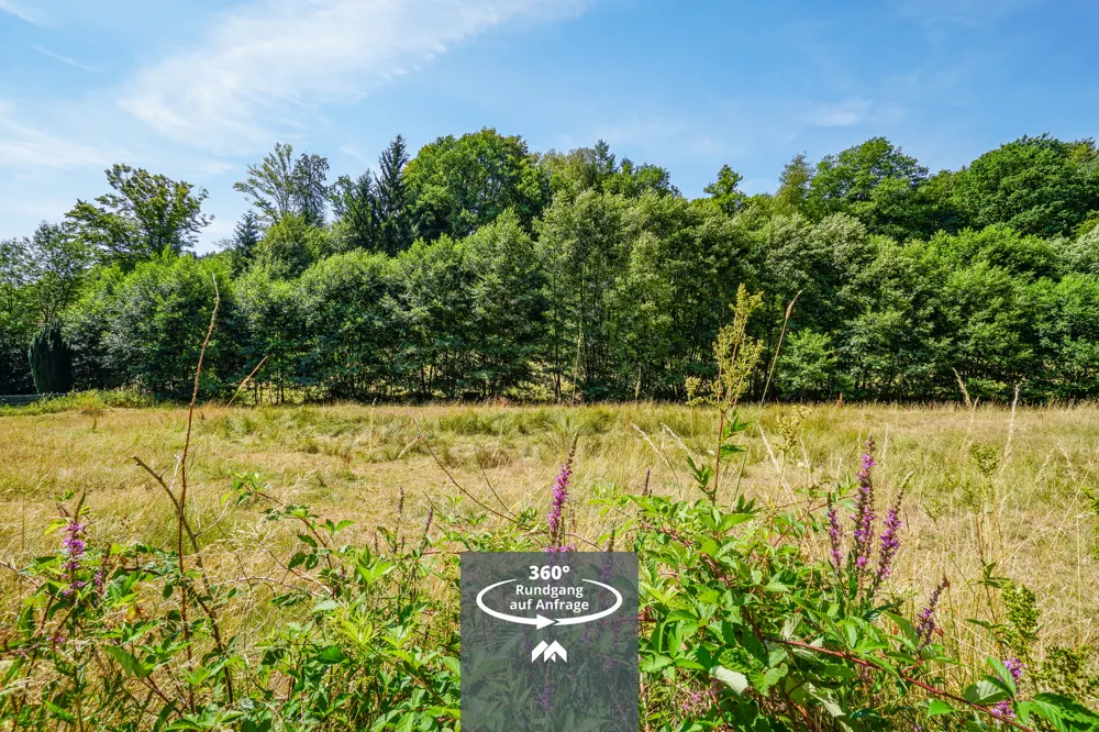 Traumhafte Wiesenrandlage