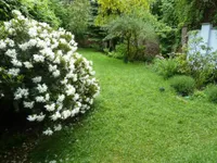 Anteilige Gartenfläche vor der Terrasse