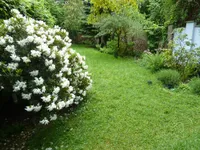 Anteilige Gartenfläche vor der Terrasse