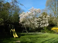 Gartenansicht im Frühling