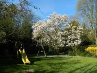 Gartenansicht im Frühling