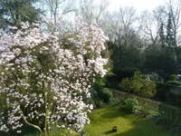 Blick vom Balkon in den Garten