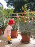 Dachterrasse im Sommer