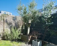 Gartenimpression
