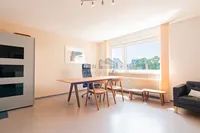 Zimmer I