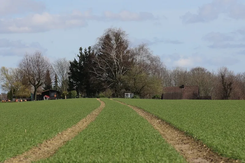 Grundstück zum Kauf