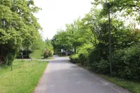 Grüne Umgebung