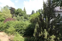 Vom Schlafzimmer Blick aus Fenster in die Natur