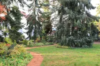 Privatsphäre im Garten