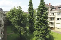 Garten_Titel
