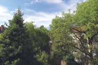 Ausblick ins Grüne